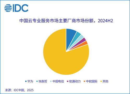 2024下半年中国云专业与管理服务市场 整体收入235.6亿元，企业管理服务驱动11.2%增长