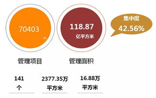 企业管理服务行业动态 数字化转型与创新管理趋势